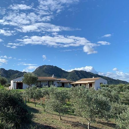 Macciuneddu Country Retreat Golfo Aranci Εξωτερικό φωτογραφία
