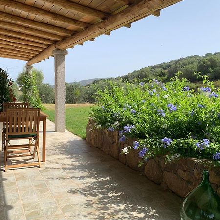 Macciuneddu Country Retreat Golfo Aranci Εξωτερικό φωτογραφία
