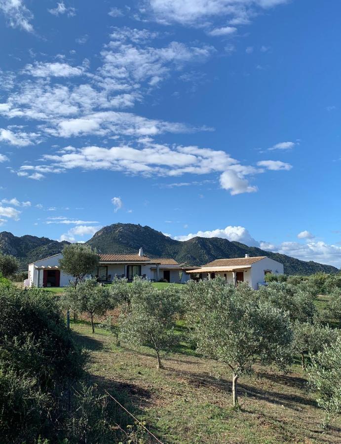 Macciuneddu Country Retreat Golfo Aranci Εξωτερικό φωτογραφία